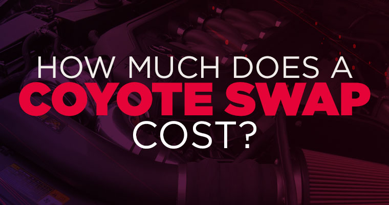 How Much Does a Coyote Swap Cost?