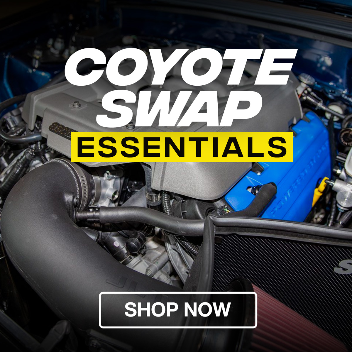 Coyote Swap Essentials