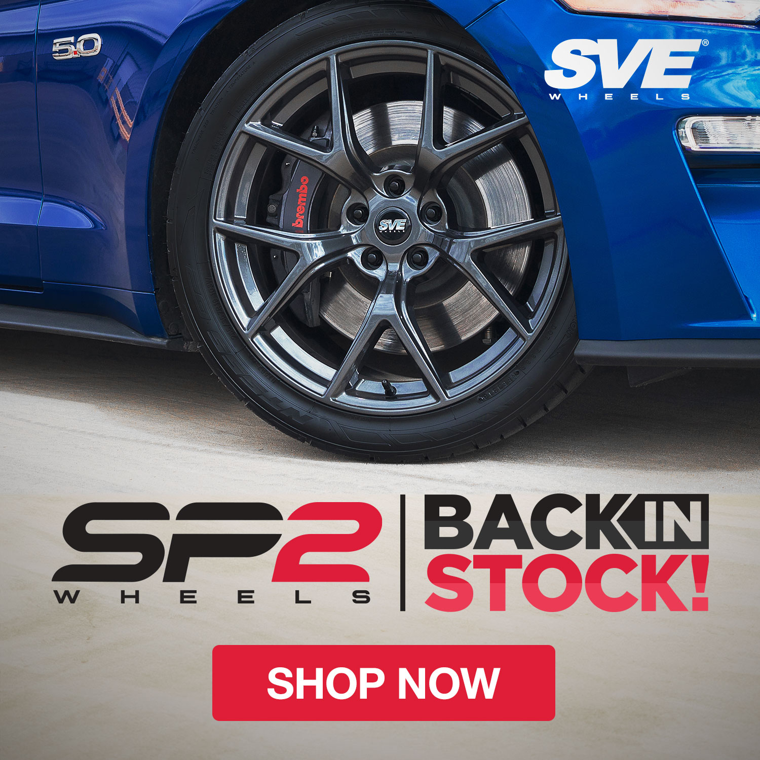 BACK IN STOCK! 2005-24 SVE SP2 Wheels